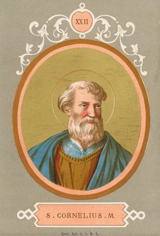 S Cornelius 1000 de European School