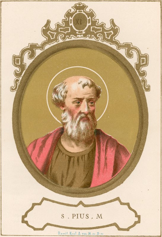 S Pius M de European School