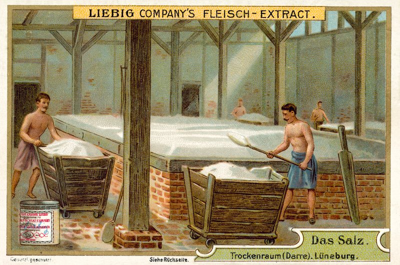 Sal: sala de secagem, Luneburg, Alemanha (chromolitho) de European School