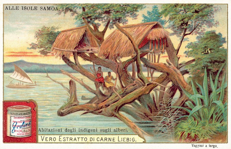 Casa da árvore Samoana (chromolitho) de European School