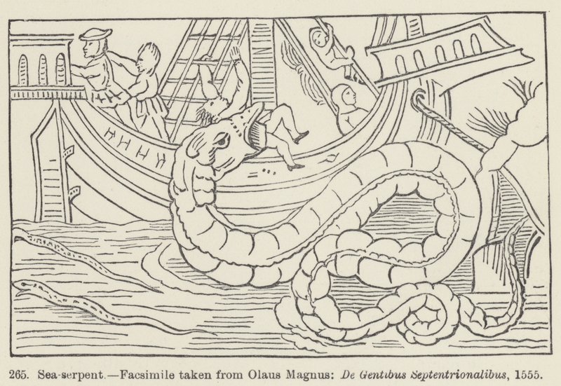 Serpente de mar (gravura) de European School