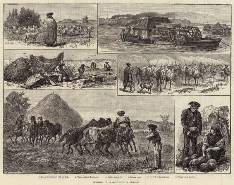 Esboços da Vida Camponesa na Hungria (gravura) de European School