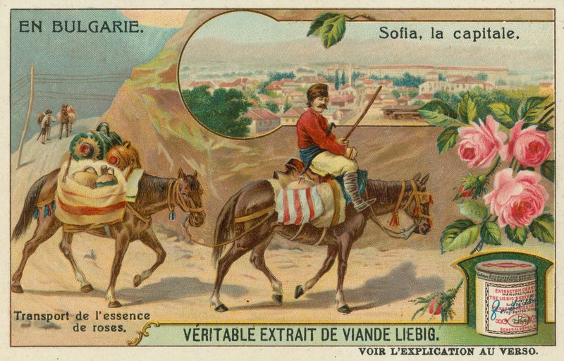 Sofia e um comerciante transportando essência rosa de European School