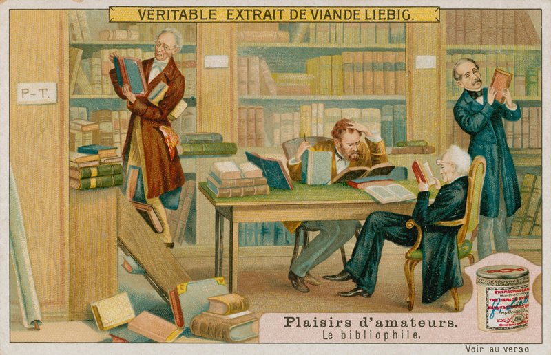 O Bibliófilo Amador de European School
