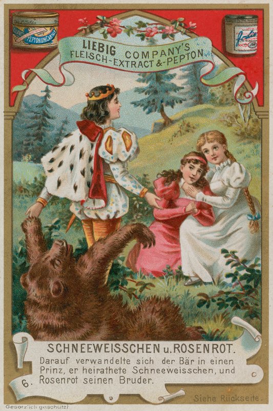 O urso se transforma em um príncipe de European School