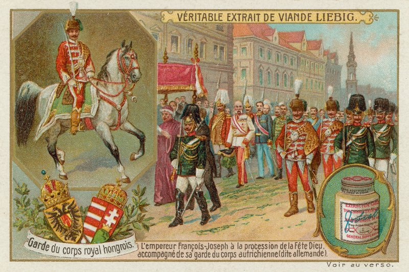 O guarda-costas do imperador da Hungria de European School