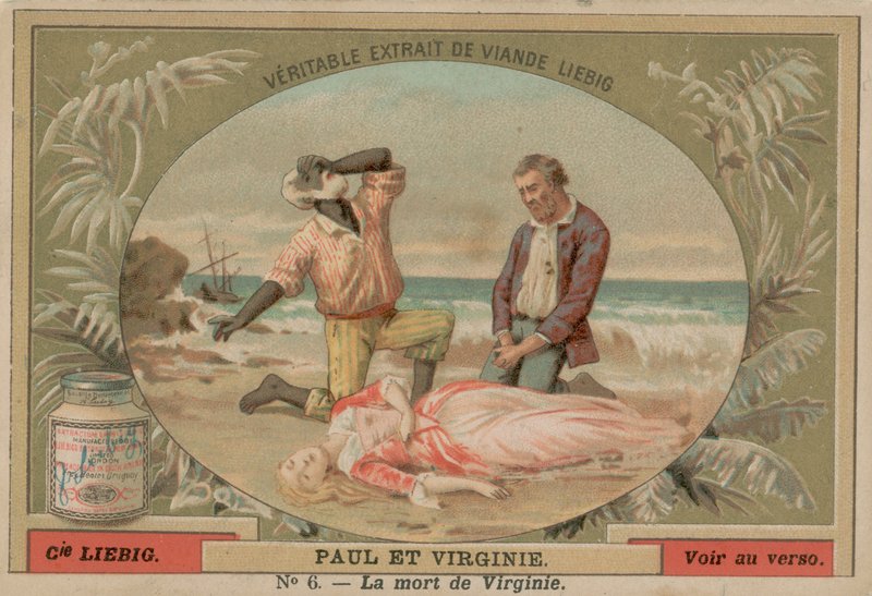 A morte de Virginie de European School