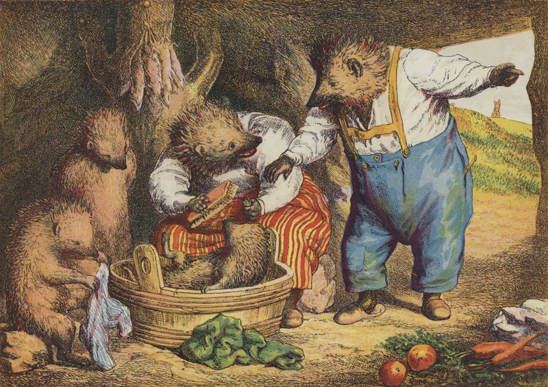 A Lebre e o Porco Espinho (cor litho) de European School