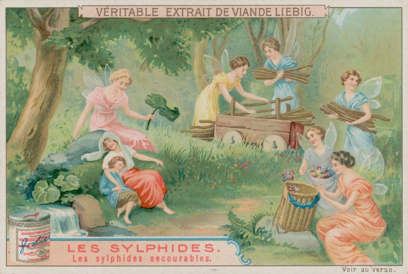 Os Sylphs Úteis de European School
