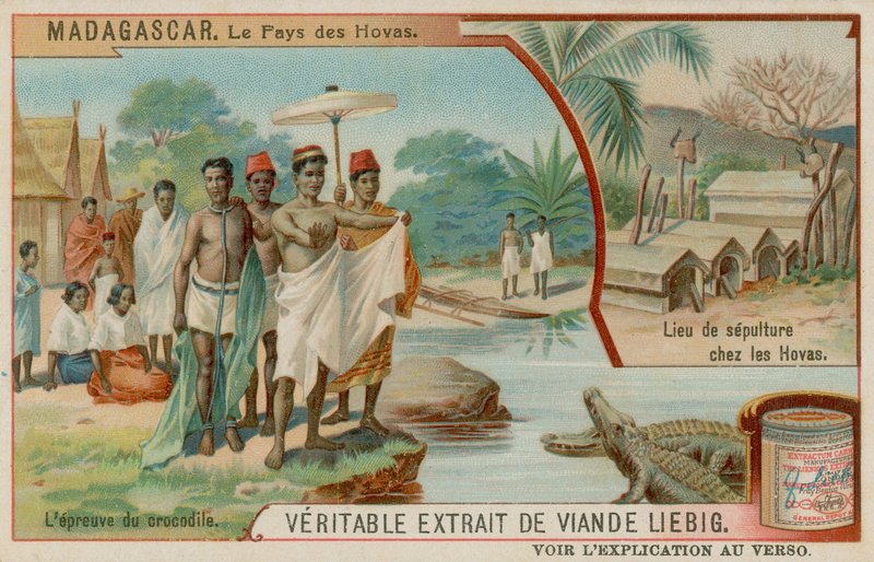 A terra do Hova: a provação de crocodilo e o lugar do enterro do Hova de European School