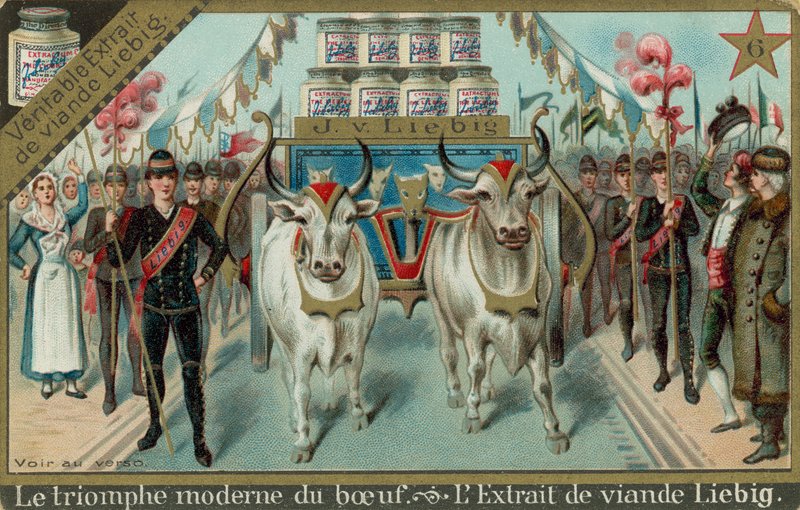 O triunfo moderno da carne de European School
