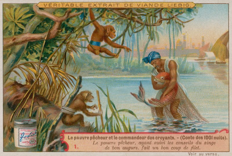 O pobre pescador recebe uma boa viagem de European School