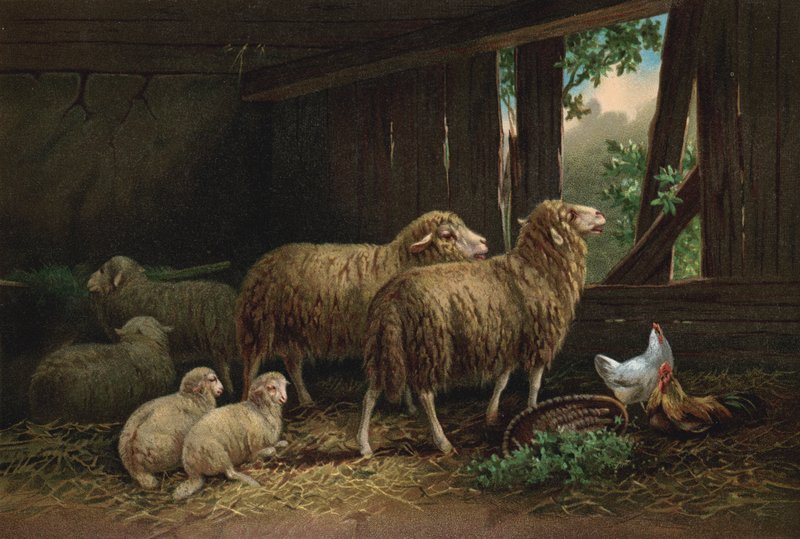 O redil (cromolitografia) de European School