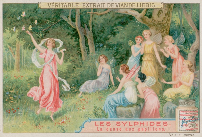 Os Sylphs Dançam Com Borboletas de European School