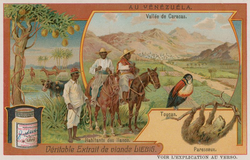 O vale de Caracas com um tucano e uma preguiça e uma tribo das planícies de European School