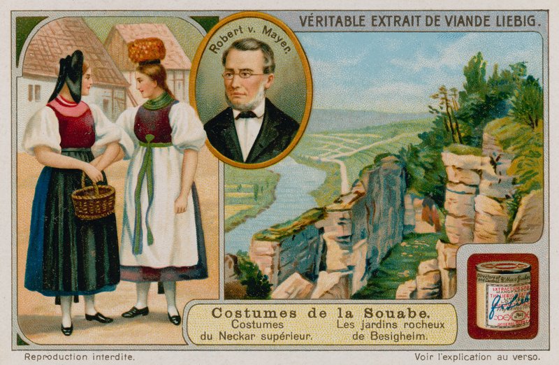 As roupas do rio Upper Neckar, Julius Robert von Mayer e os jardins de pedra de Besigheim de European School