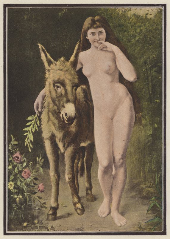 O rabo dourado (cor litho) de European School