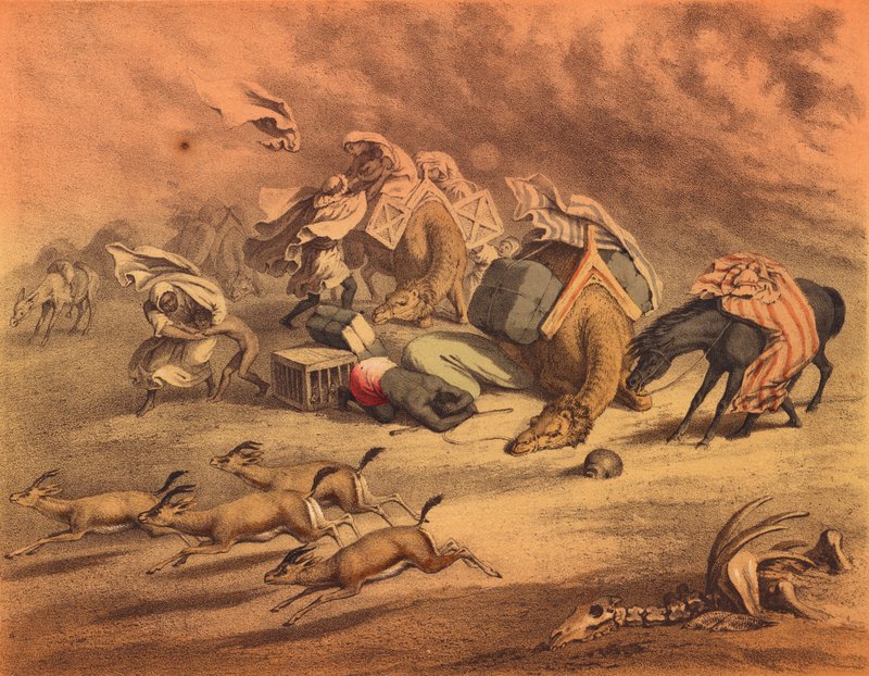 O grande deserto africano (litografia a cores) de European School