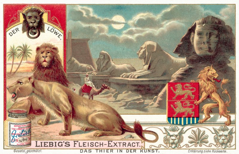 O leão (chromolitho) de European School