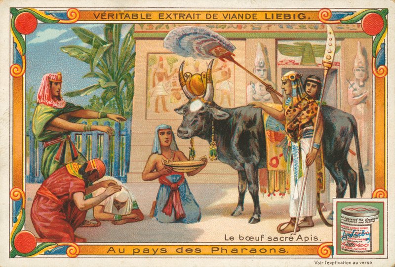 O touro sagrado Apis, cartão de Liebig, início do século XX (cromo) de European School