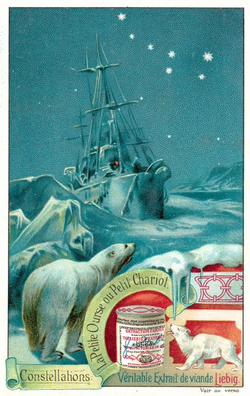 Ursa Menor (chromolitho) de European School