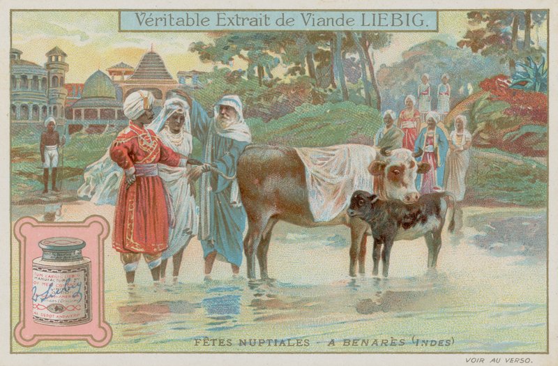 Tradições de casamento de Varanasi de European School