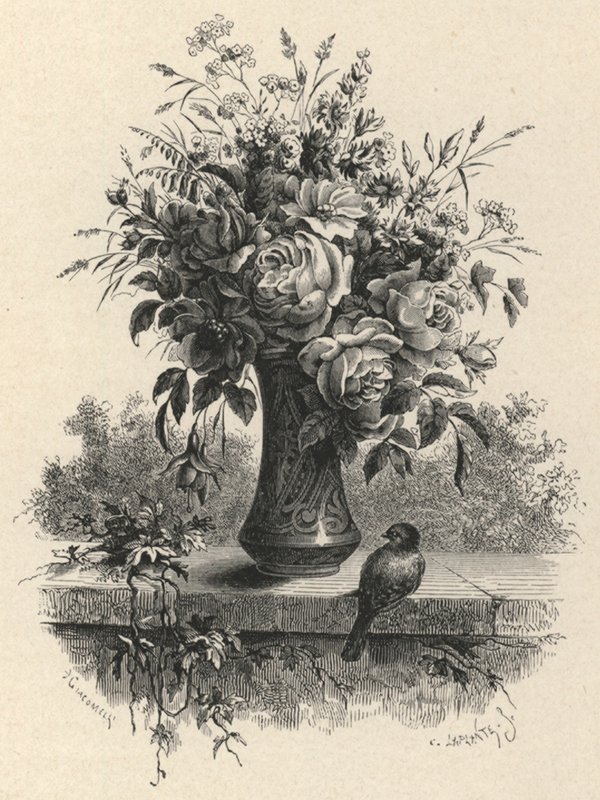 Vaso de flores (gravura) de European School