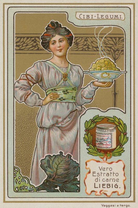 Legumes de European School