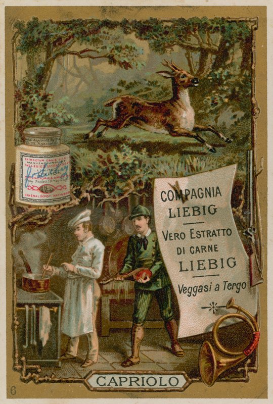 Carne de veado de European School