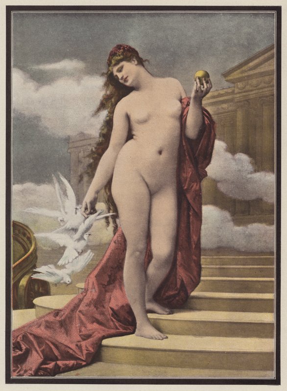 Vénus (cor litho) de European School