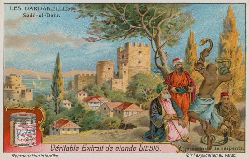 Vista, de, Seddulbahir, com, snakecharmers de European School