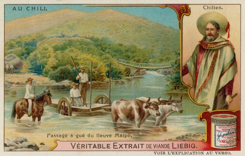 Vista, de, um, cavaleiro, e, boi, carrinho, fording, a, rio, maipo, e, a, retrato, de, um, homem chileno de European School