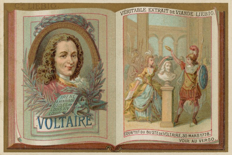 Voltaire de European School