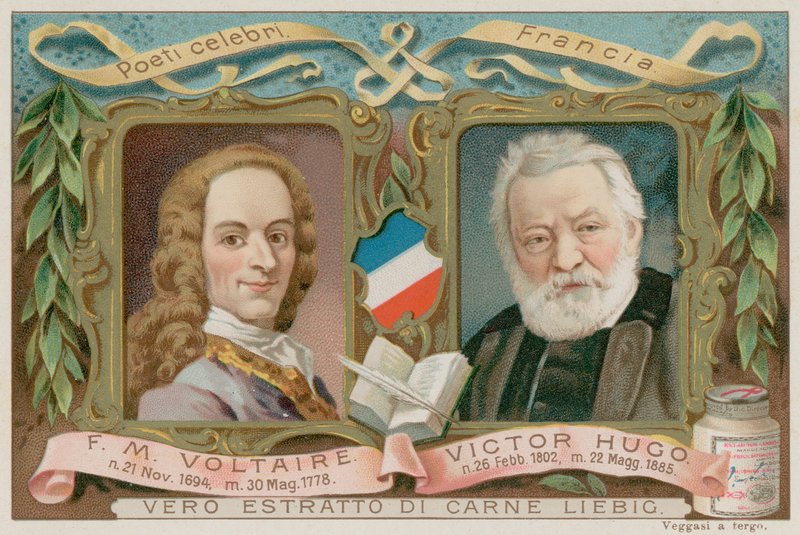 Voltaire e Hugo de European School
