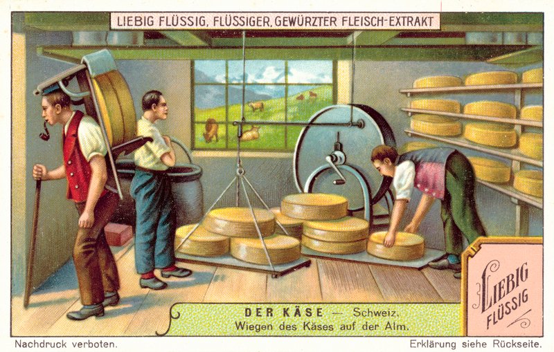 Pesagem de queijos suíços numa fábrica de lacticínios alpina (chromolitho) de European School