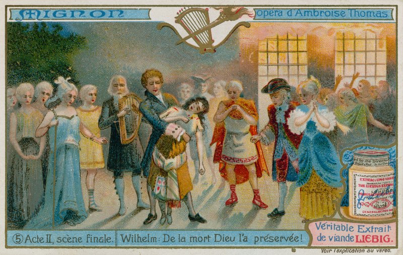 Wilhelm Cute Rescues de European School