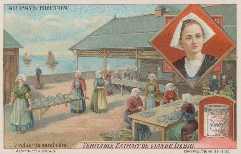 Mulheres preparando sardinhas (chromolitho) de European School