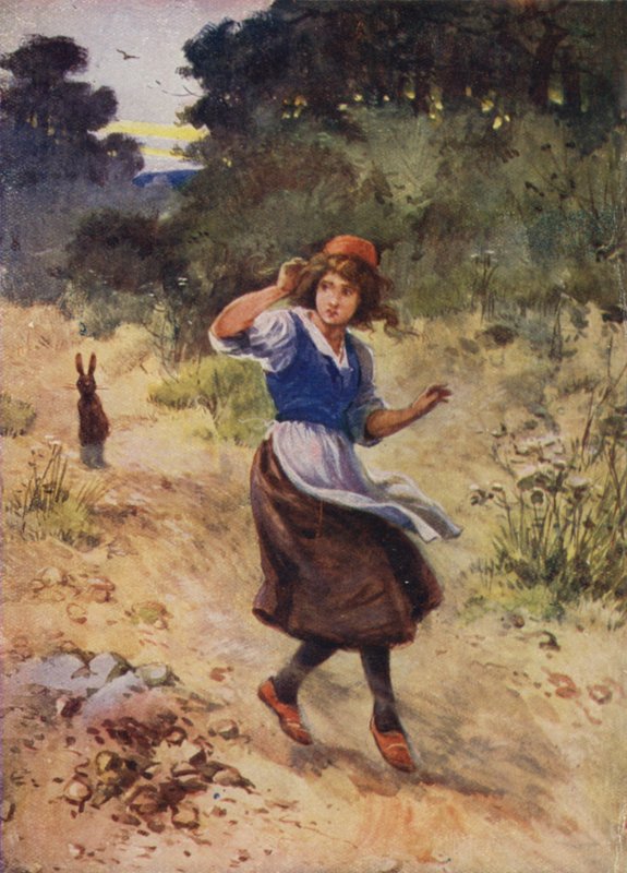 História não identificada de Hans Christian Andersen de Evelyn Stuart Hardy