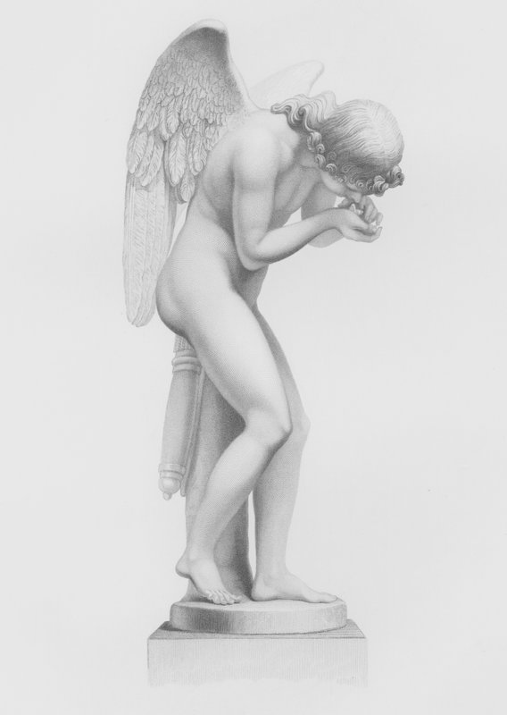 Love Reviving Life, da estátua de Finelli, na coleção de Sua Graça, o Duque de Devonshire, em Chatsworth (gravura) de F. Roffe