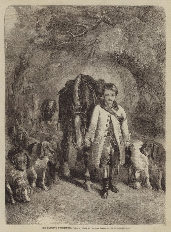 Sua majestade Buckhounds de F. Tayler