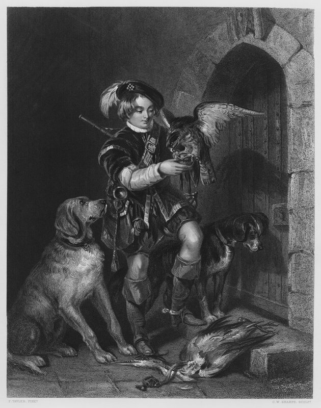 O Jovem Falconer, da foto da Coleção Real (gravura) de F. Tayler
