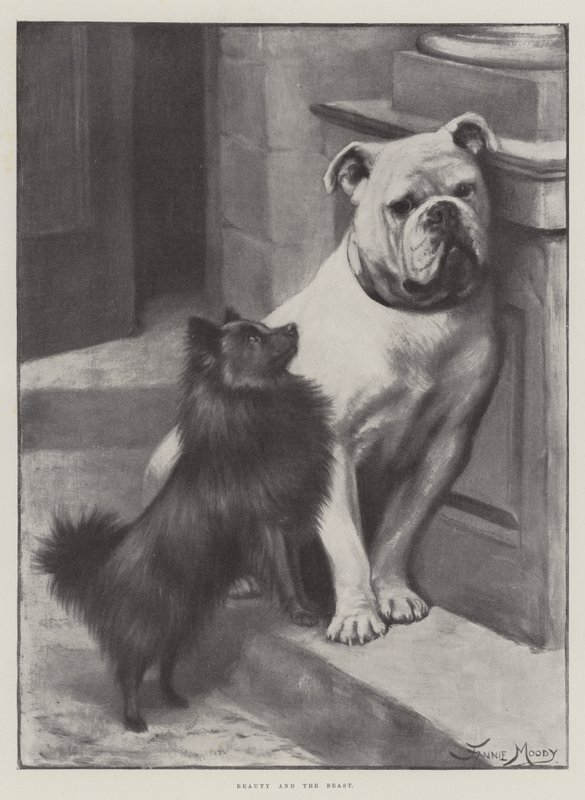 Bela e A Fera de Fannie Moody