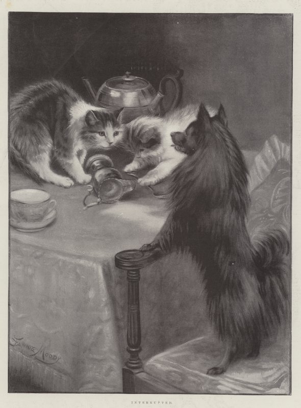 Interrompido de Fannie Moody