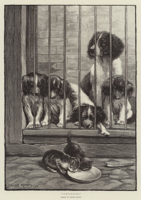 Tentador de Fannie Moody