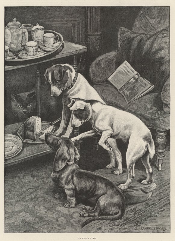 Tentação de Fannie Moody