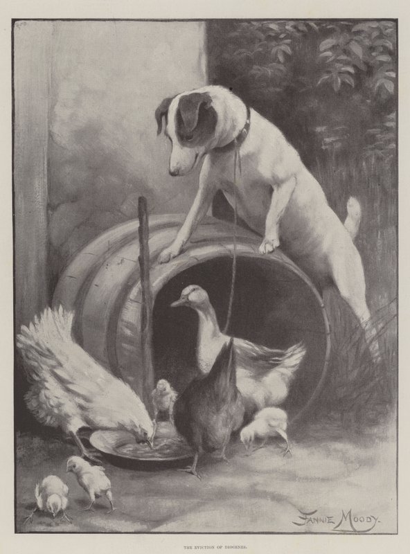 O Despejo de Diógenes de Fannie Moody