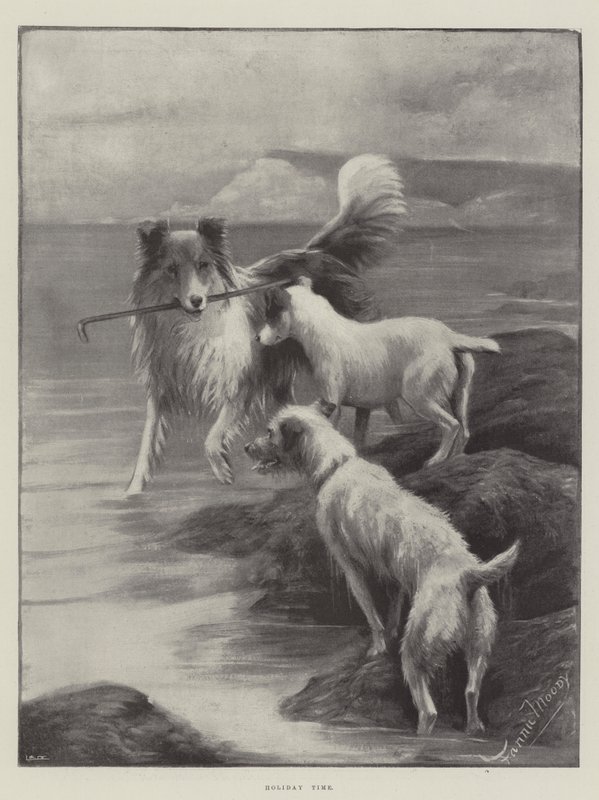 Tempo de férias de Fannie Moody