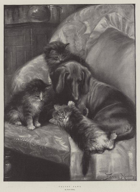 Patas De Veludo de Fannie Moody