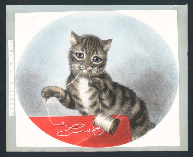 Sempre em Mischief - cartão de cumprimentos vitoriano (chromolitho) de Fanny Corbaux