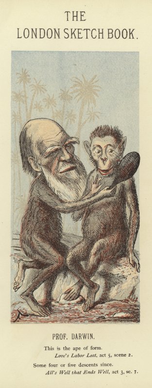 Caricatura de Charles Darwin de Faustin